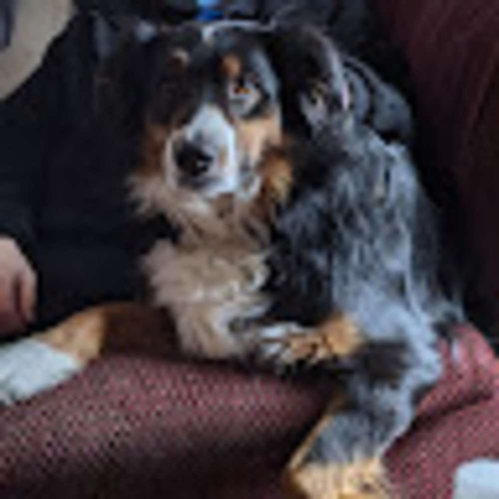 Meet your Posher, Alexandra